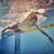 Neoprene Buoyancy Shorts 'Originals' 5/3mm swim